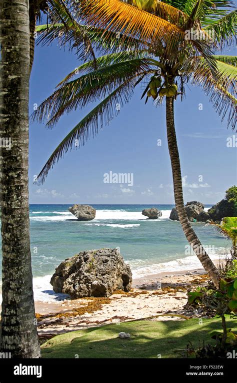 Barbados, Bathsheba, beach Stock Photo - Alamy