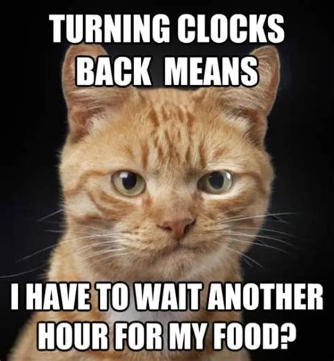 15+ Of The Best & Funniest Daylight Savings Time Memes