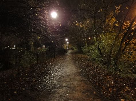 park path at night by Shutterbug2010 on DeviantArt