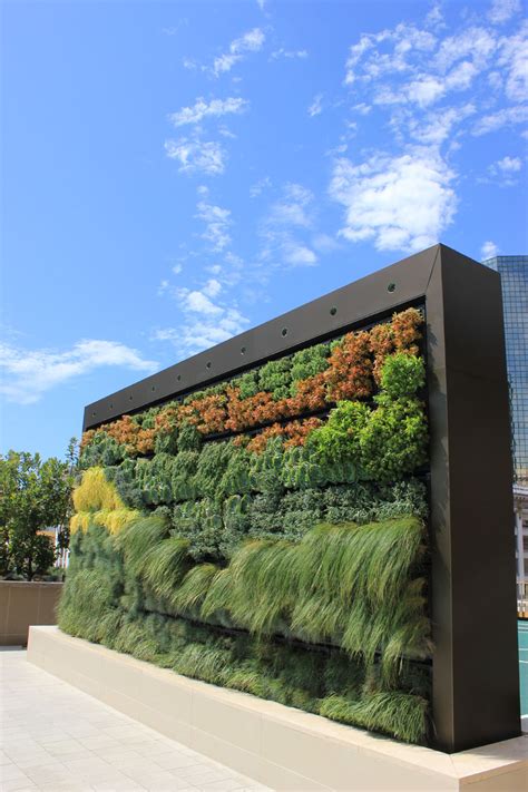 Living Walls - Good Earth Plants