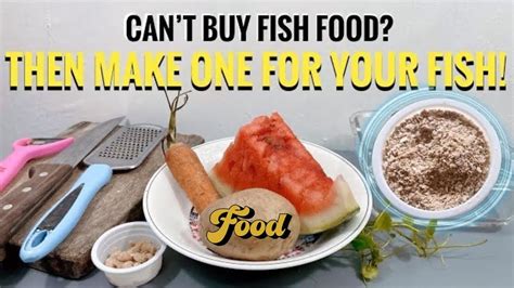 Fish Food for Small Fish, Guppy & Fry’s DIY | Homemade Fish Food Powder and Flakes! - YouTube