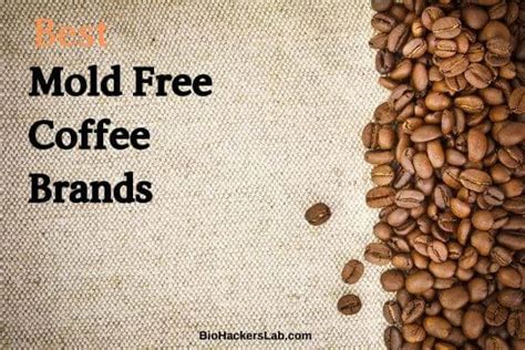 BEST Mold Free Coffee Brands (Our 2024 Review)