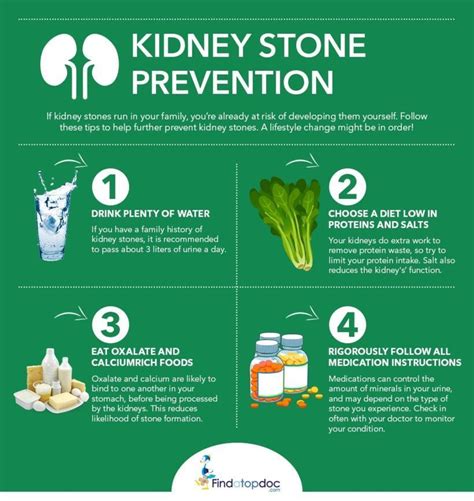 How to prevent Kidney stones? [Infographic]