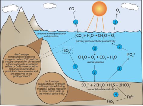 Research – Matthew Hurtgen