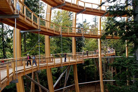 44 metre high tree top walkway in bavarian forest national park