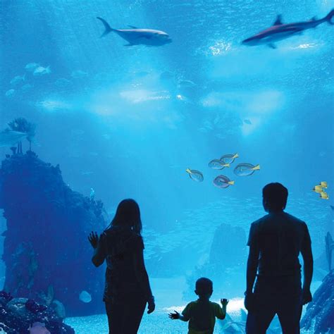 Antalya Aquarium tickets | Antalya