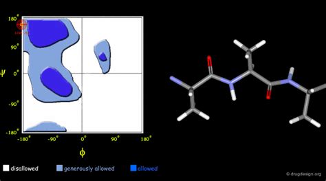 Protein Structure - Drug Design Org