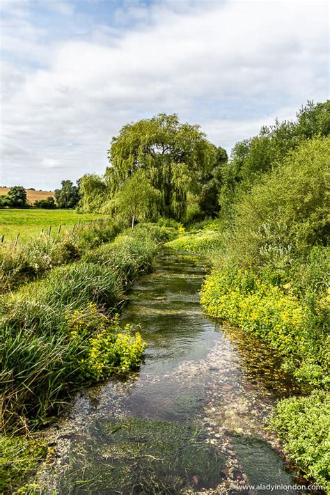 21 Country Walks Near London - Best Walks Close to the City