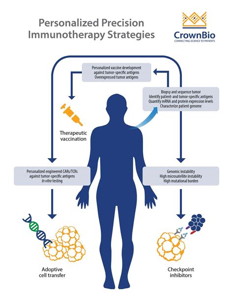 Personalized Cancer Immunotherapy