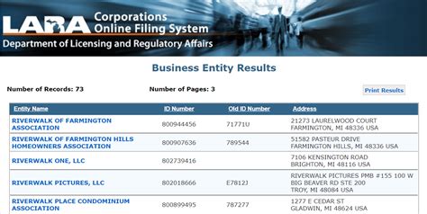 Michigan Business Name Search (LLC lookup) - 2024 Guide