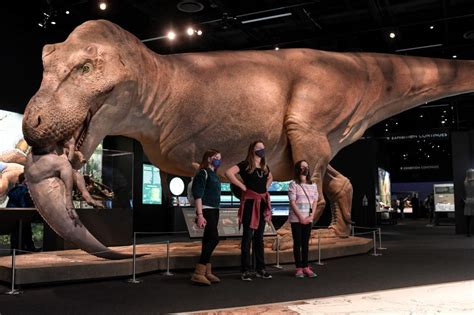 Sue the T. rex has taken over Denver Museum of Nature & Science, and it’s a must-see – The Fort ...