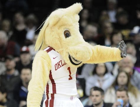 Oklahoma fires mascot after incident at Oklahoma State game - CBSSports.com