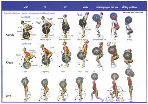 Weightlifting Technique Posters for Snatch + Clean & Jerk - All Things ...