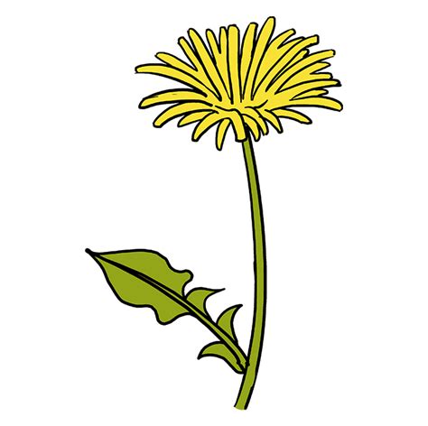 Dandelion Blowing In The Wind Drawing | Free download on ClipArtMag