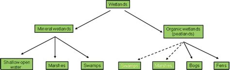 Canadian Wetland Classification System — Wetland Policy