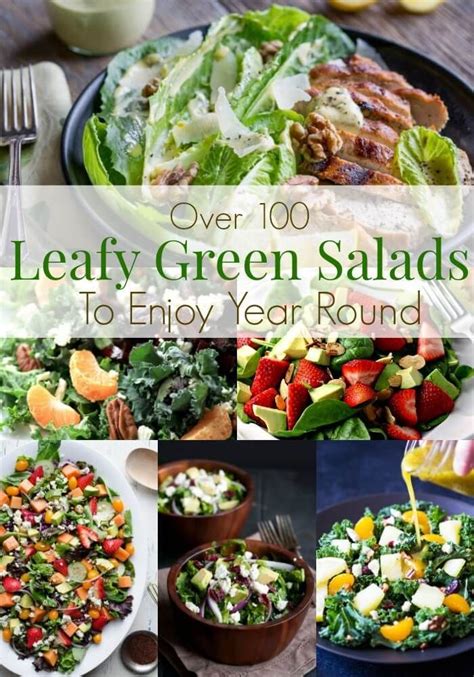 With over 100 Leafy Green Salad Recipes in this roundup, you can enjoy ...