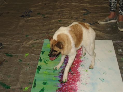 Paw Painting With Dogs at PaintingValley.com | Explore collection of ...