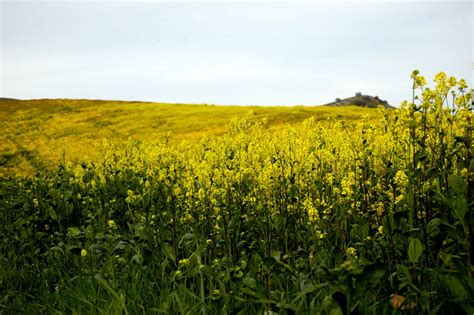 Huge Victory for Kettleman City and Environmental Justice Allies - Community Alliance