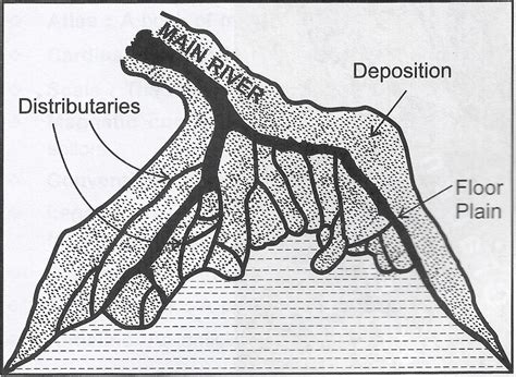 (i) Draw a neat diagram to show the formation of a Delta. | KnowledgeBoat