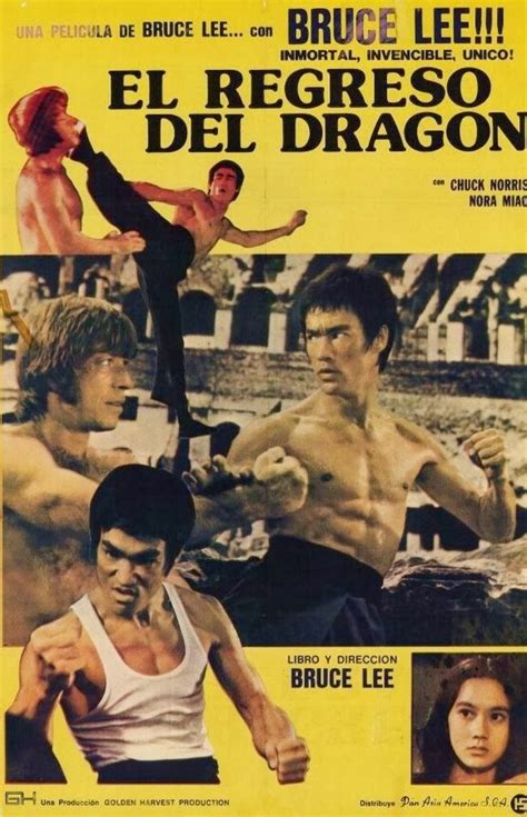 100 Years of Movie Posters: Chuck Norris Martial Arts Film, Karate Martial Arts, Martial Artists ...