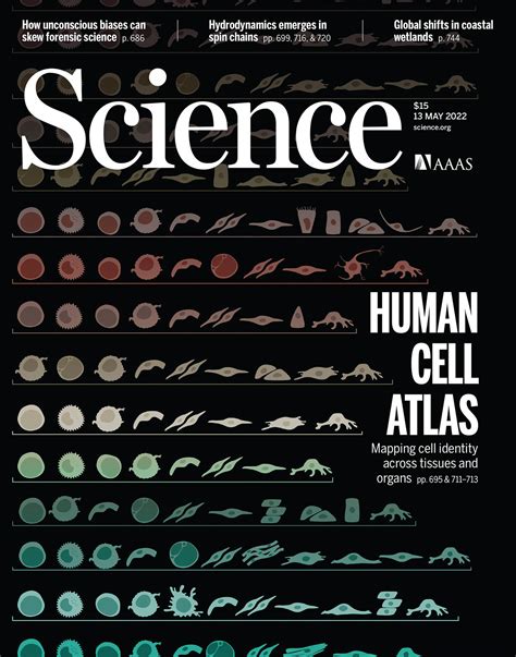 Human Cell Atlas Science Cover - Blog - SayoStudio