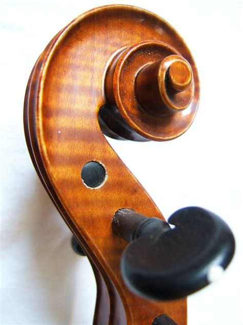 violin scroll | Violin scroll, Violin, Violin design