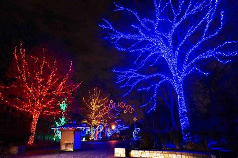 Free Winter Holiday Events in the Washington, D.C. Area