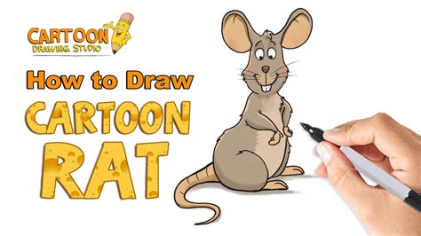 How to Draw Cartoon Rat | (Step by Step) Drawing Lesson - YouTube