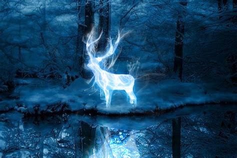 Take Pottermore’s new Patronus quiz to find out if you’re a dolphin ...