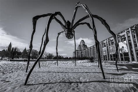 Maman sculpture in Ottawa Photograph by Lavin Photography