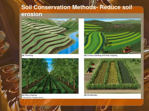 Soil Erosion And Conservation