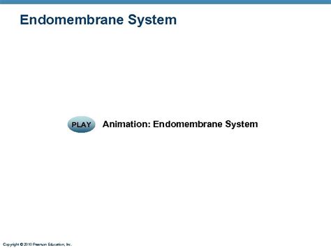 Chapter 3 Cells Plasma membrane structure