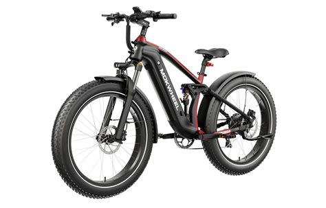 Mokwheel Obsidian | All terrain Electric Bike – E Zip-N-Zoom