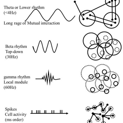 Homeostasis and allostasis. | Download Scientific Diagram