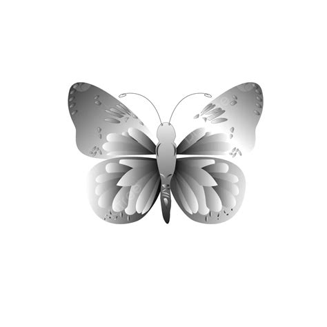 Beautiful Butterfly Illustration Vector, Butterfy, Illustration, Animl PNG and Vector with ...