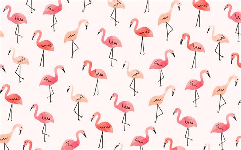 Flamingo Wallpapers HD | PixelsTalk.Net