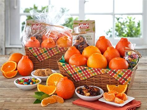 Grove Plaid Basket Box with Honeybells