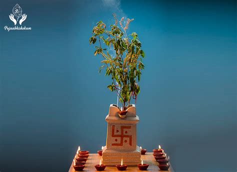 Tulsi Puja | Tulsi Vivah | Attain Salvation | Get Rid of Sins | PujaAbhishekam