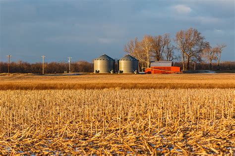 The Ohio Nature Blog: The Pickaway Plains