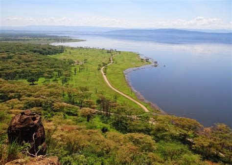 Pleasant scenery at Lake Nakuru, Kenya.