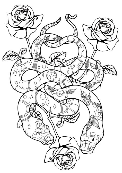 Snake Animal Coloring Pages Coloring Pages