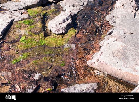 Ozarks region, National Scenic Riverways Area, Missouri Stock Photo - Alamy