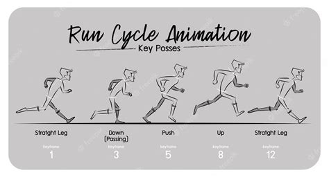 Premium Vector | Character walk and run cycle on keyframe step by step.