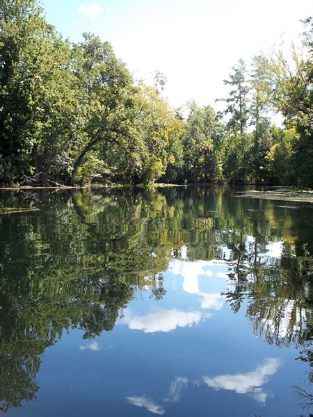 Ocklawaha River 16 | Ocklawaha River, FL. Great reflections … | Flickr