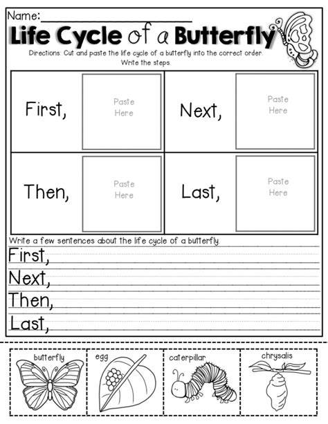 15+ Butterfly Cycle Worksheet Kindergarten - Chart-sheet.com | Science lessons, Homeschool ...