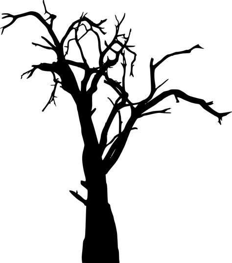 Tree Branch Woody plant Twig Clip art - dead png download - 1321*1500 - Free Transparent Tree ...