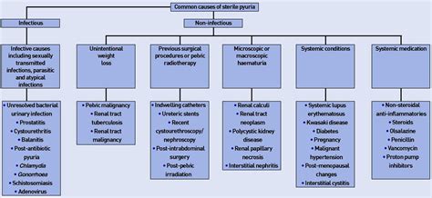 Pyuria & sterile pyuria causes, symptoms, diagnosis and treatment