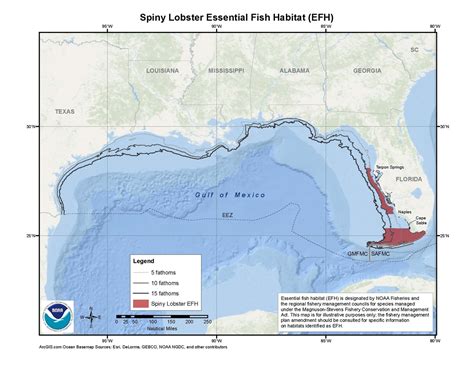 Spiny Lobster Essential Fish Habitat (EFH) Map & GIS Data | NOAA Fisheries