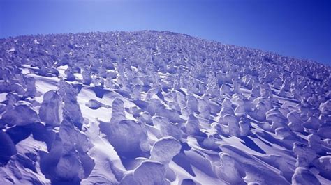 The Snow Monsters of Mount Zao | Visit Yamagata | Kyuhoshi