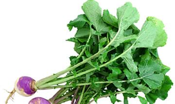 Turnip Greens - Got Greens?